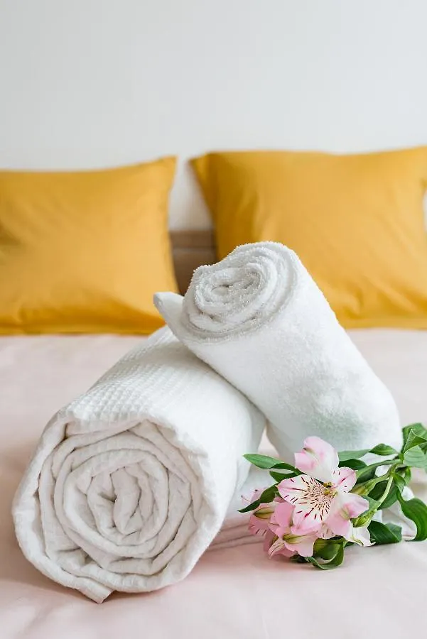 Appart Cosy - Comme A La Maison - St Etienne Saint-Etienne